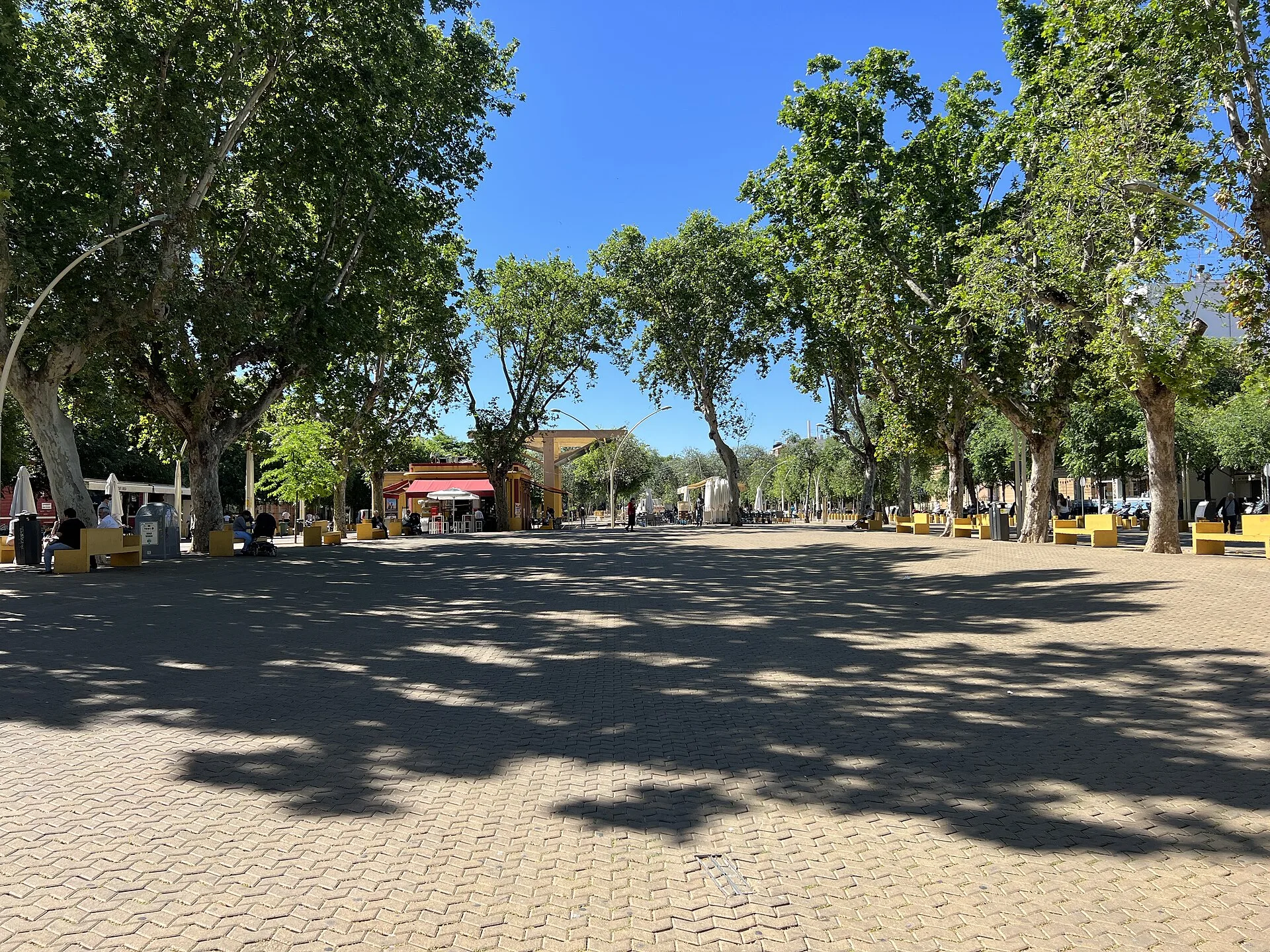 Alameda de Hércules : bohème, jeune et abordable